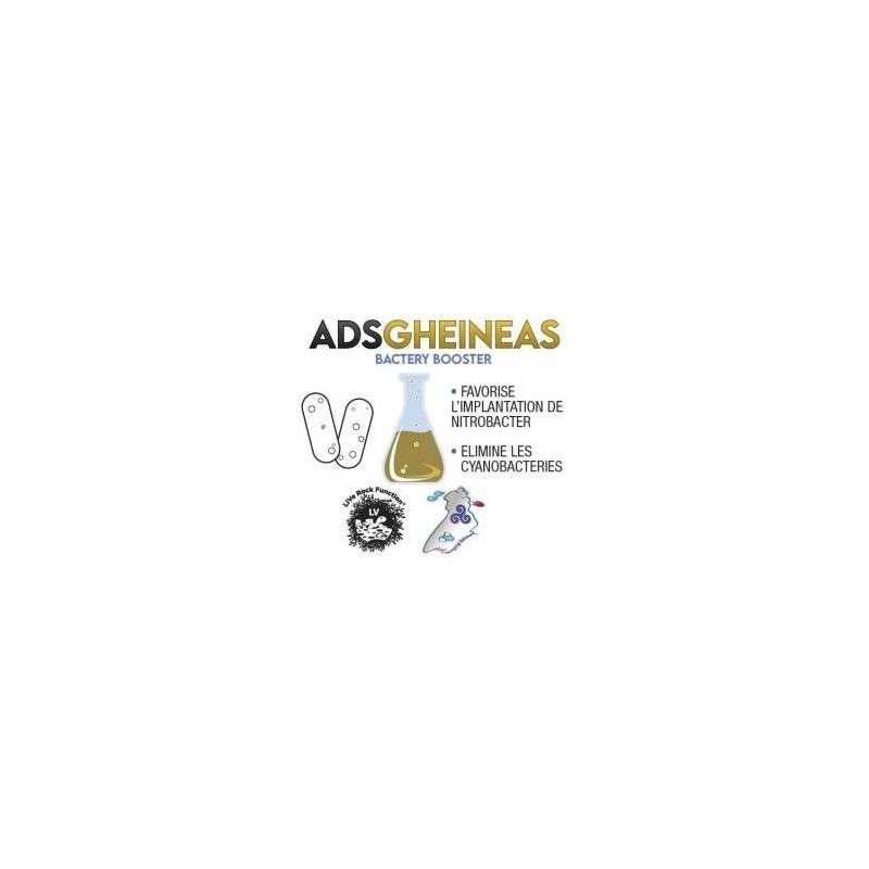 ADS - GHEINEAS - 50 ML - BOOSTER BACTÉRIES - EAU DE MER ADS - GHEINEAS - 50 ML - BOOSTER BACTÉRIES - EAU DE MER